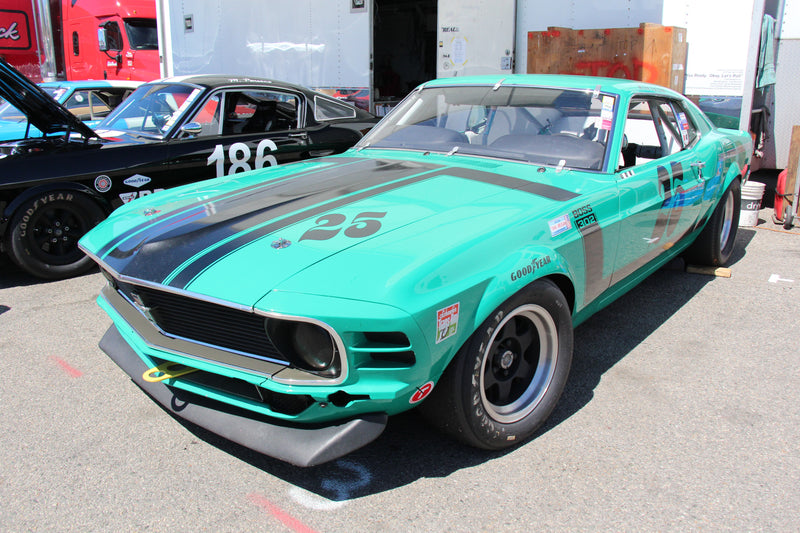 Ford Mustang 1969 to 1970 Race Window