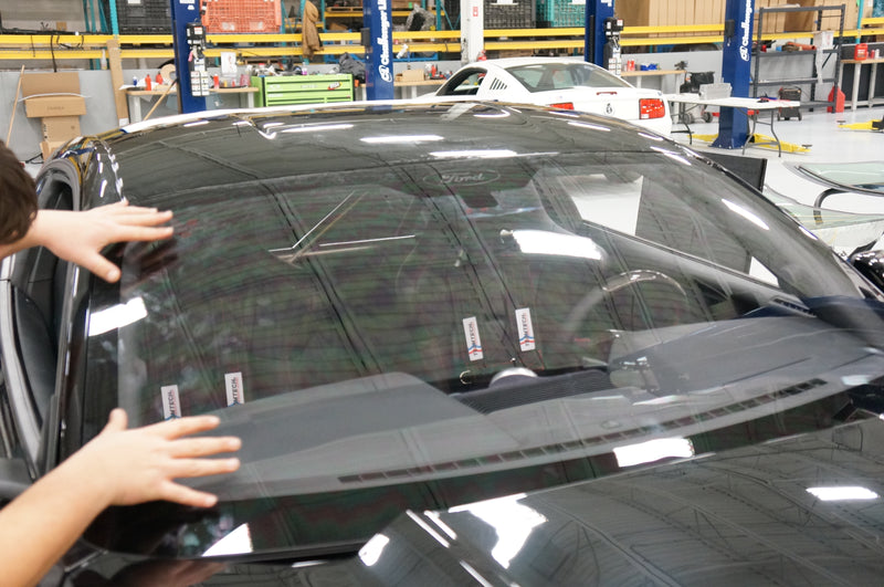 Ford Mustang 2015 to Present Race Window